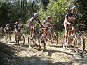MTBTOSCANA2011  (136)